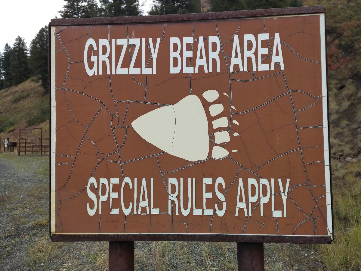 Wintereinbruch im Yellowstone Nationalpark