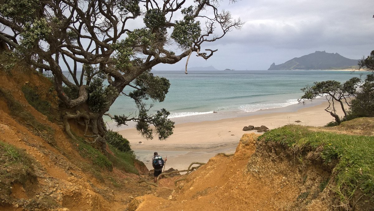 Nach dem Trail ist vor dem Trail !