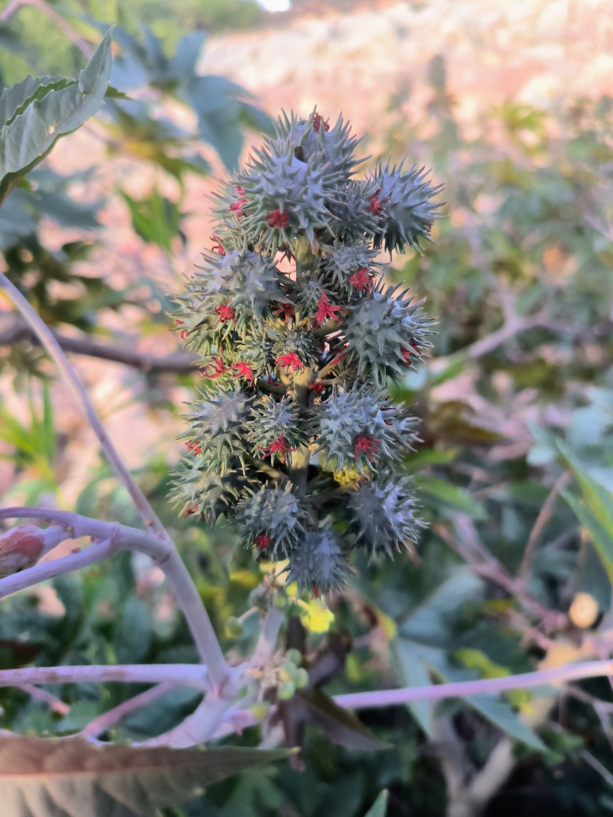 Kearny bis Roosevelt Lake