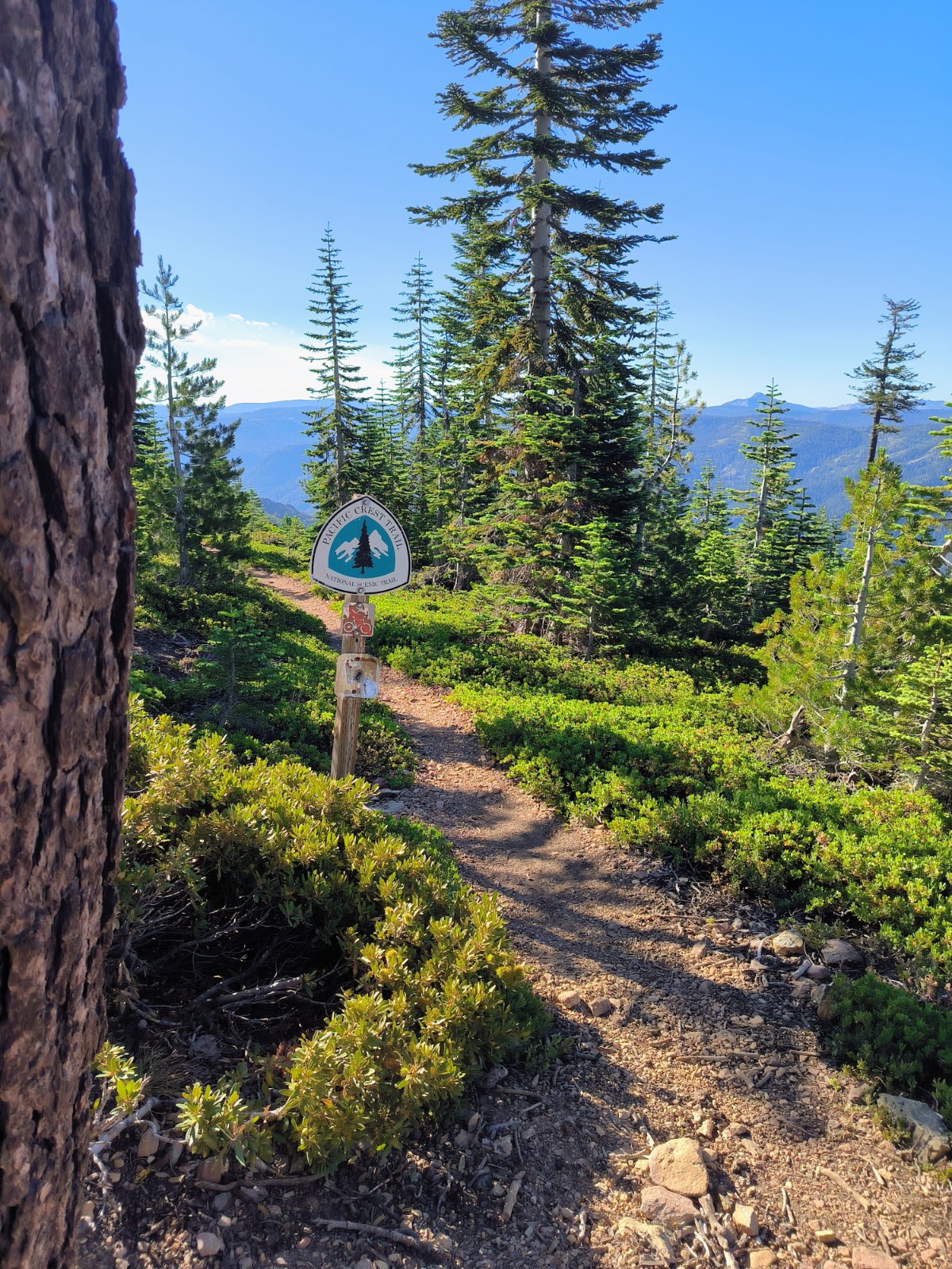 Sierra City bis Echo Lake