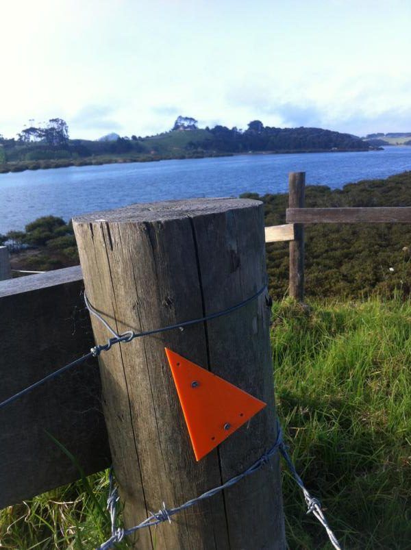 Morepork-Onekainga-Matapouri-Mackerel-Taiharuru-Bream Head  24.11.2015 bis 28.11.2015