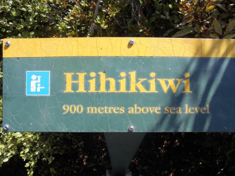 Mercer-Hamilton-Pirongia-Te Kuiti  23.12.15 bis 30.12.2015