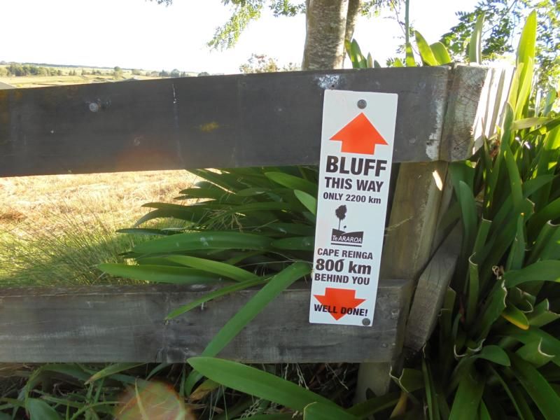 Te Kuiti-Pureora Forest-Taumarunui-42 Traverse-Tongariro  31.12.2015 bis 13.01.2016