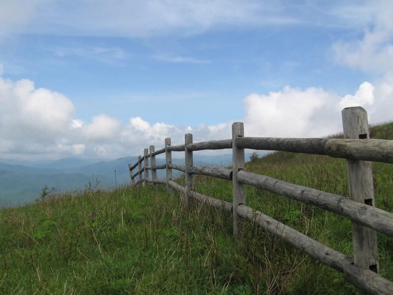 Damascus 24.05 – 13.06.2012