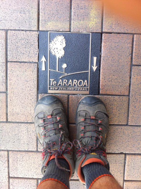 Waikanae-Wellington-Queen Charlotte Track 03.02.2016  bis 14.02.2016