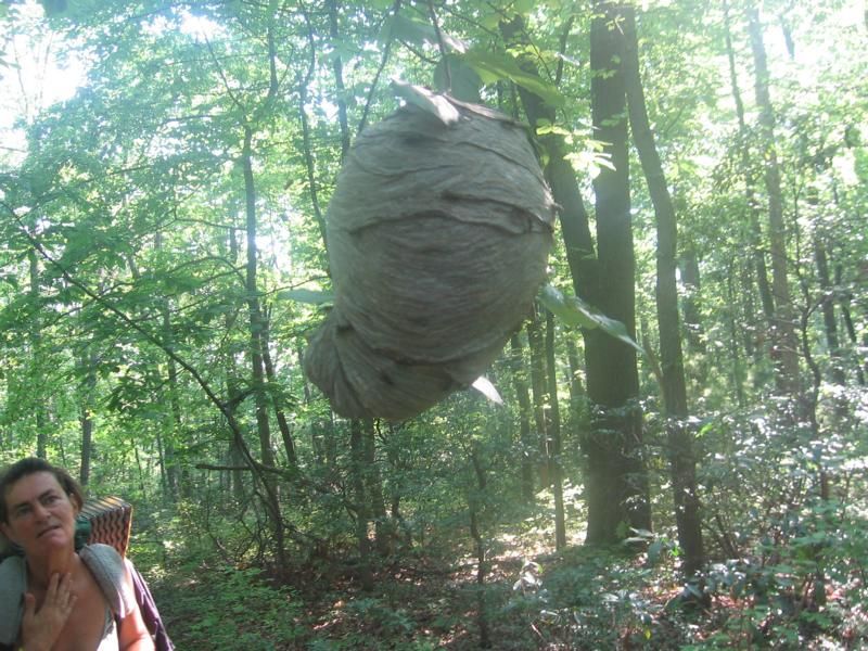 Glasgow 13.06. – 21.06.2012