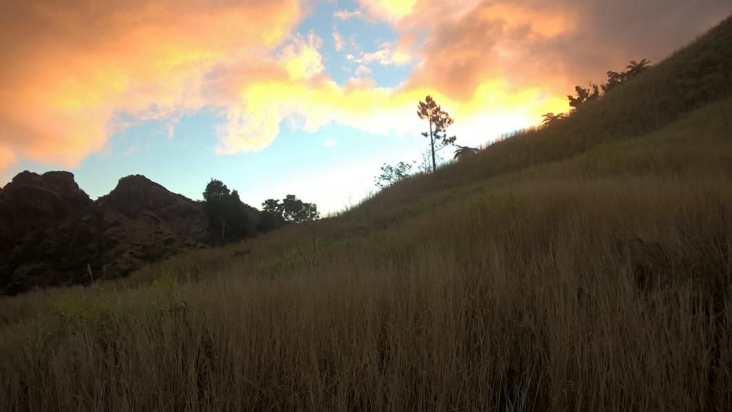 wp_20160915_17_56_30_pro