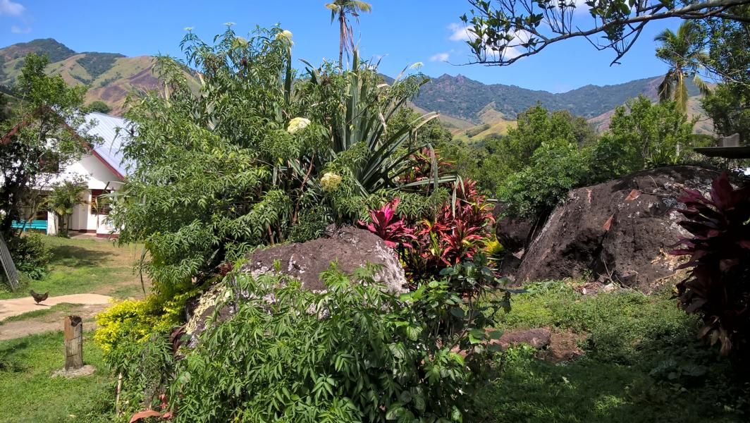 wp_20160916_13_17_34_pro