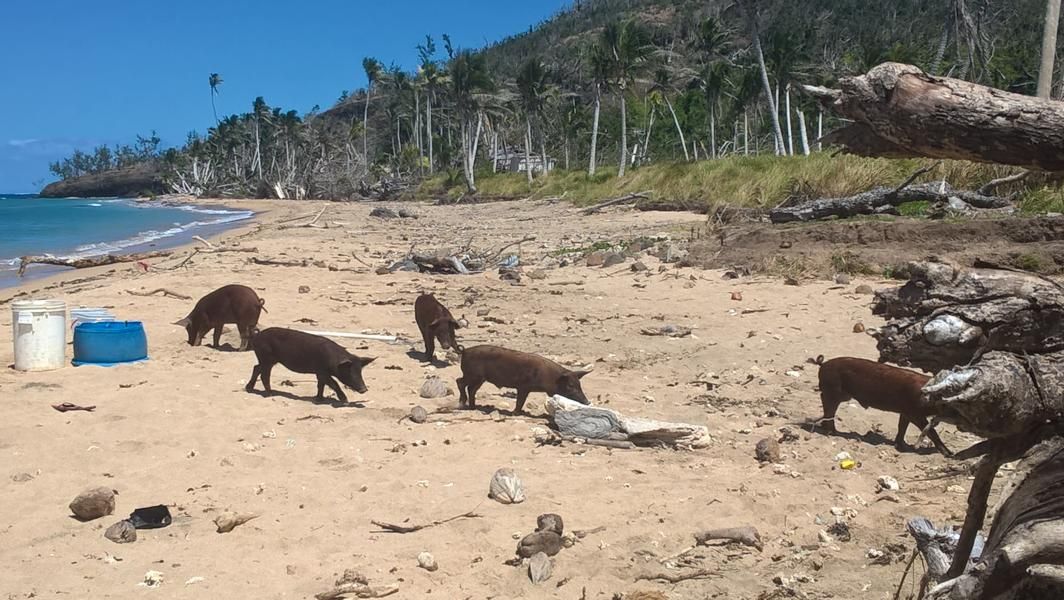 wp_20160922_10_53_19_pro