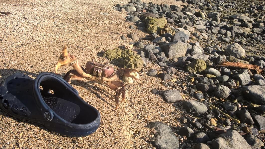 wp_20160922_16_37_40_pro