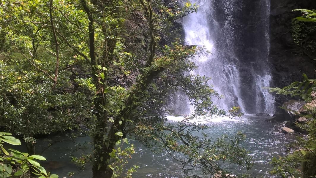 wp_20160926_12_26_03_pro