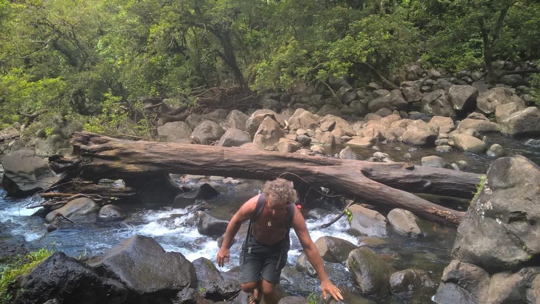 wp_20160926_12_31_22_pro