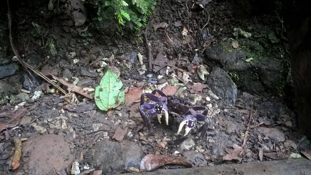 wp_20160926_12_46_09_pro