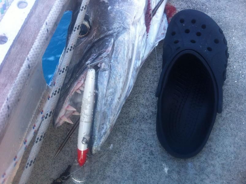 Savusavu bis Yadua Island