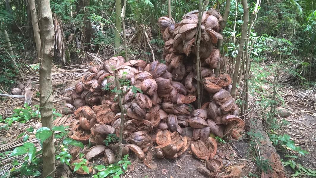 wp_20161003_11_15_34_pro