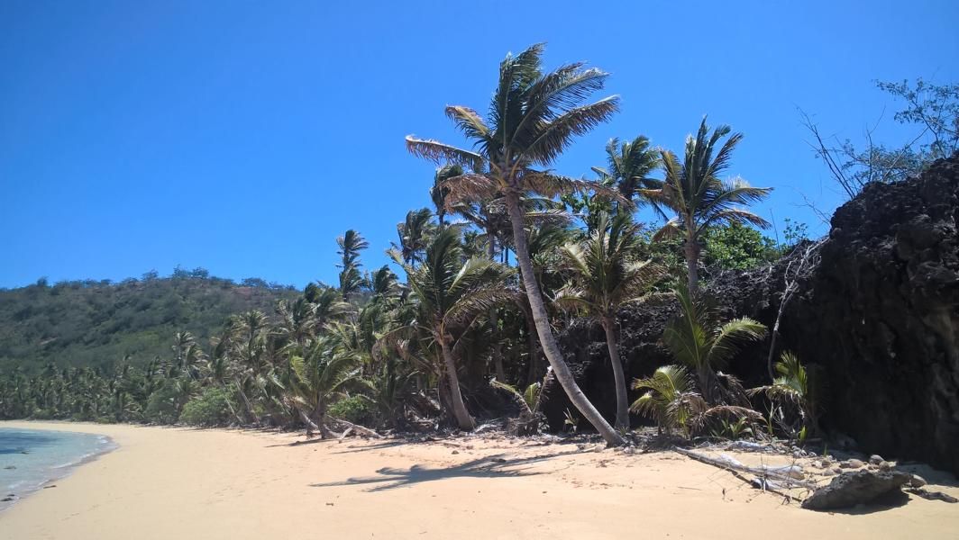 wp_20161004_12_23_03_pro