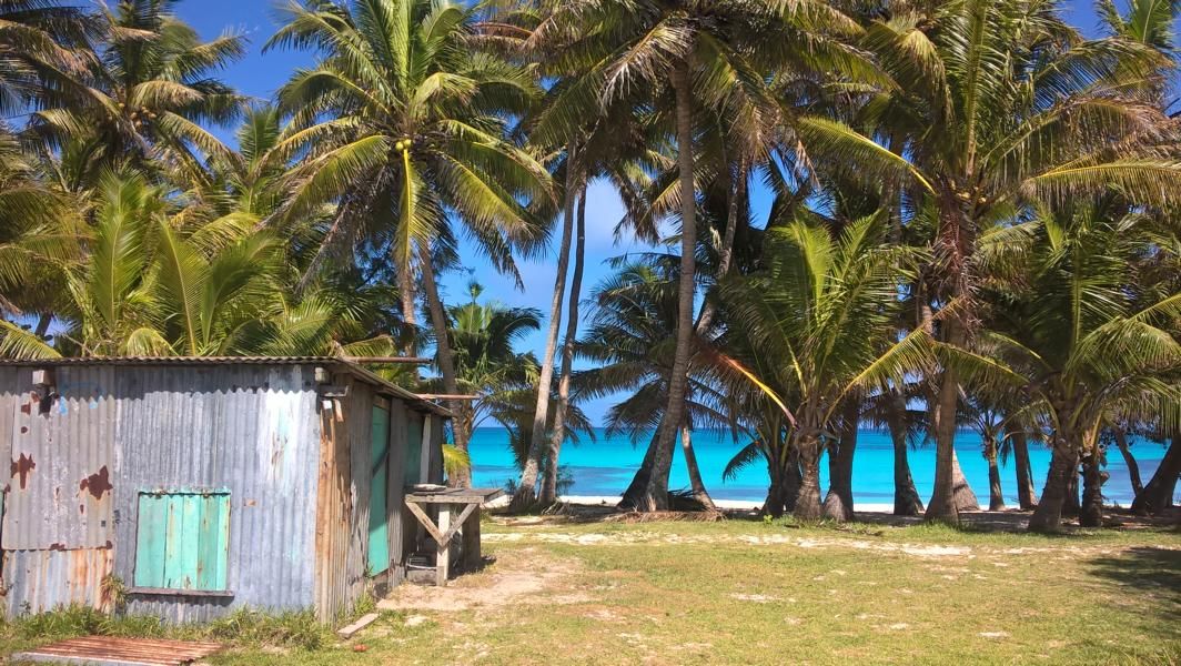 wp_20161006_09_56_22_pro