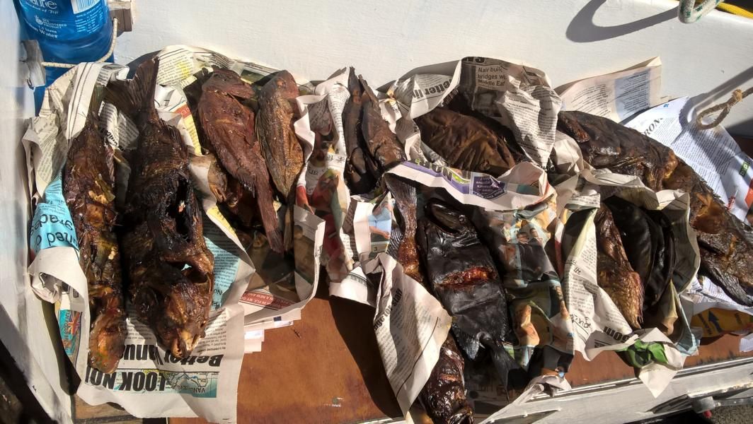 wp_20161008_09_36_07_pro