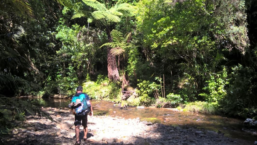 wp_20161109_15_59_17_pro