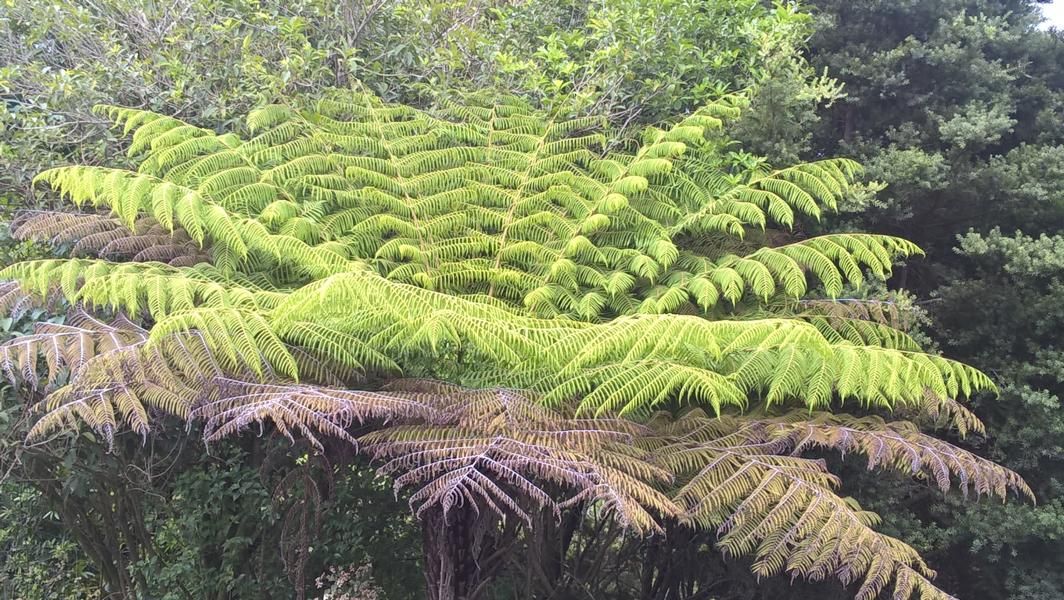 wp_20161111_16_42_47_pro