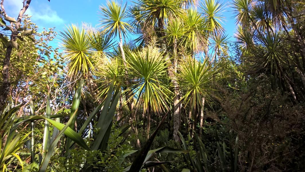 wp_20161112_17_23_10_pro