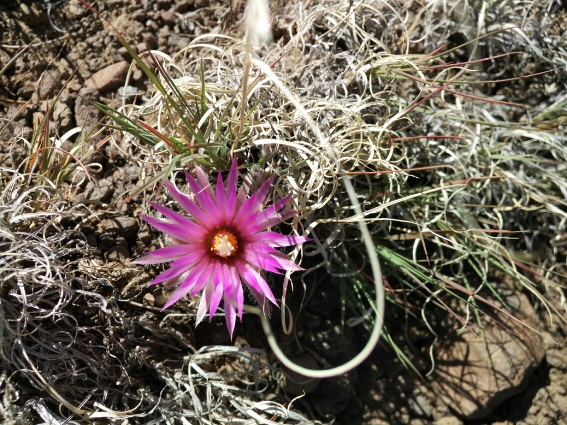 Cuba immer noch ....