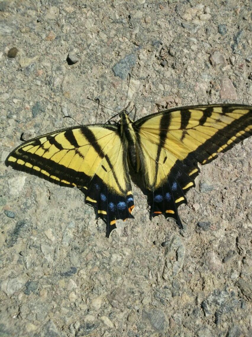 Creede bis Salida  21.06. – 24.06.2017