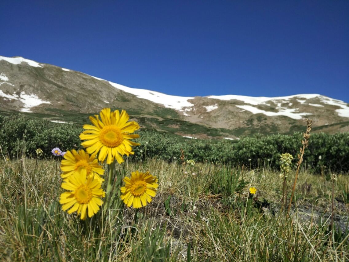 Monarch Pass bis Twin Lakes  02.07. – 07.07.2017