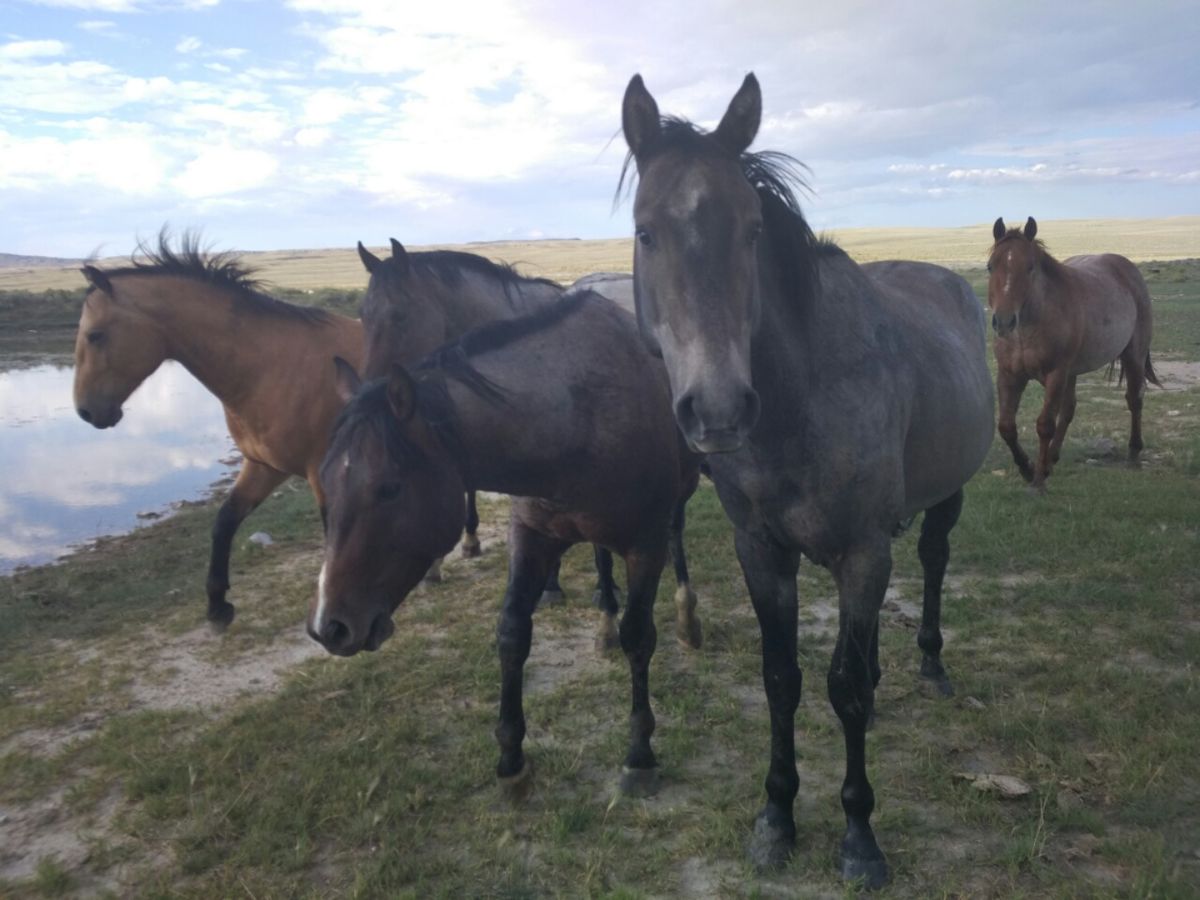 Rawlins bis Atlantic City  16.08. – 22.08.2017