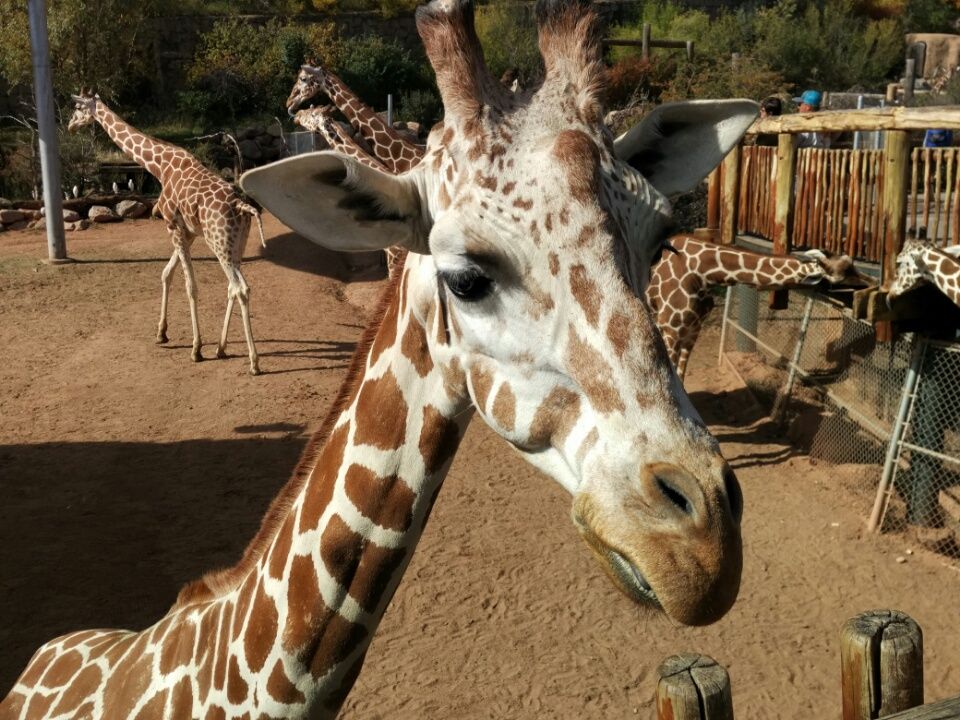 Letzte Woche in den USA  09.10. – 13.10.2017