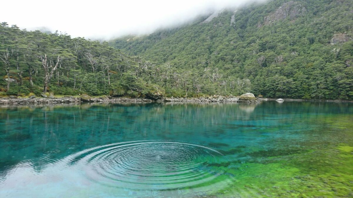 South Island – Section Hiking Te Araroa  27.12.2017 – 14.01.2018