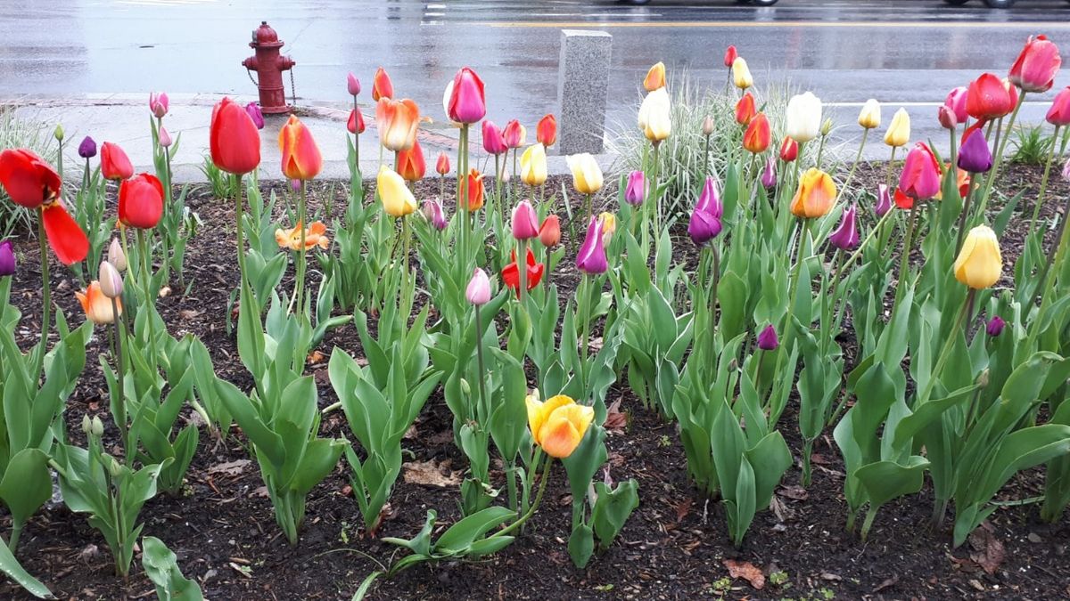 Anreise zum Appalachian Trail