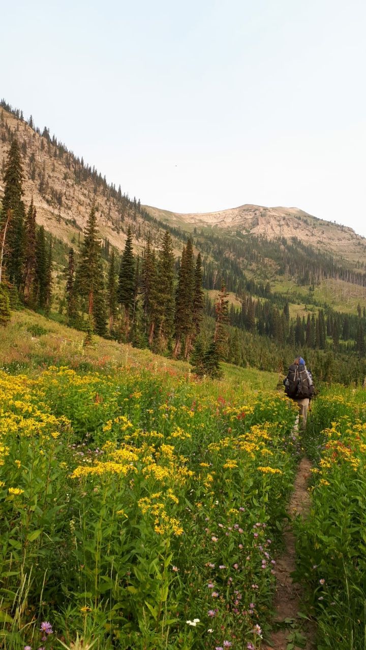 Augusta bis East Glacier Park