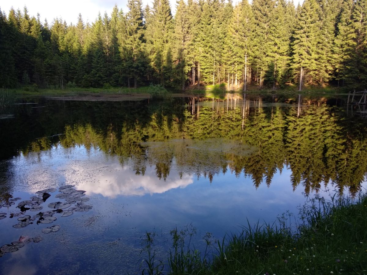 Kammweg Erzgebirge-Vogtland 1. Woche ab 15.06.2020
