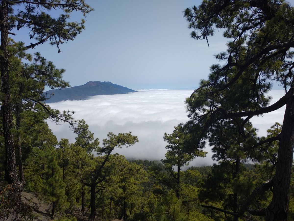 La Palma 1. Woche bis 16.06.2021