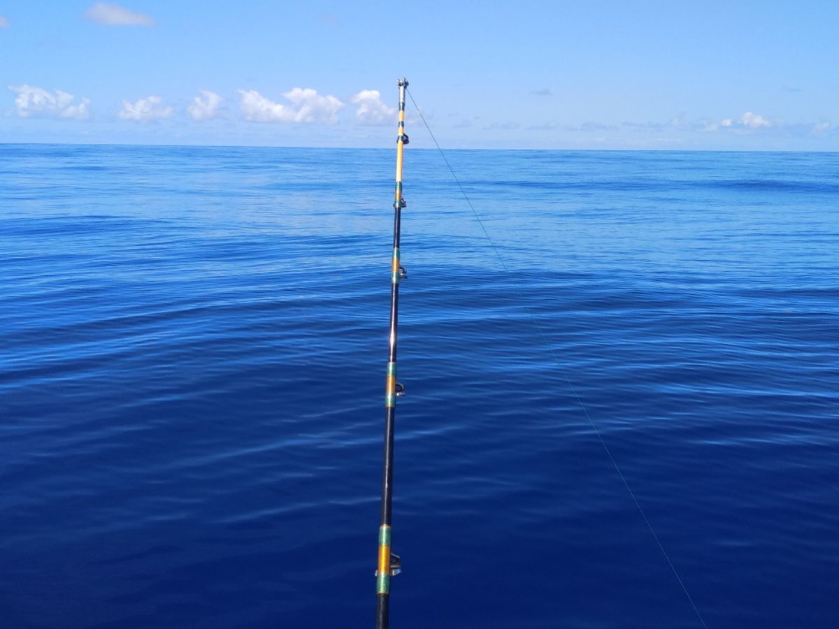 Kanaren zu den Azoren – 1083,6 Seemeilen