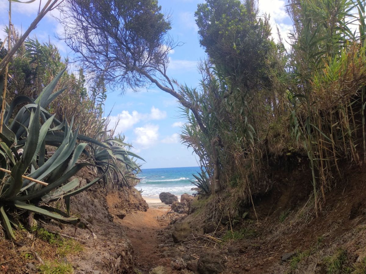 Von Pico nach Santa Maria