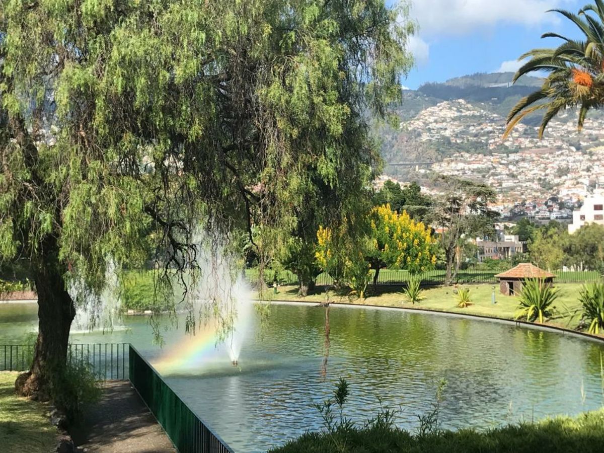 Madeira bis 04.10.2021