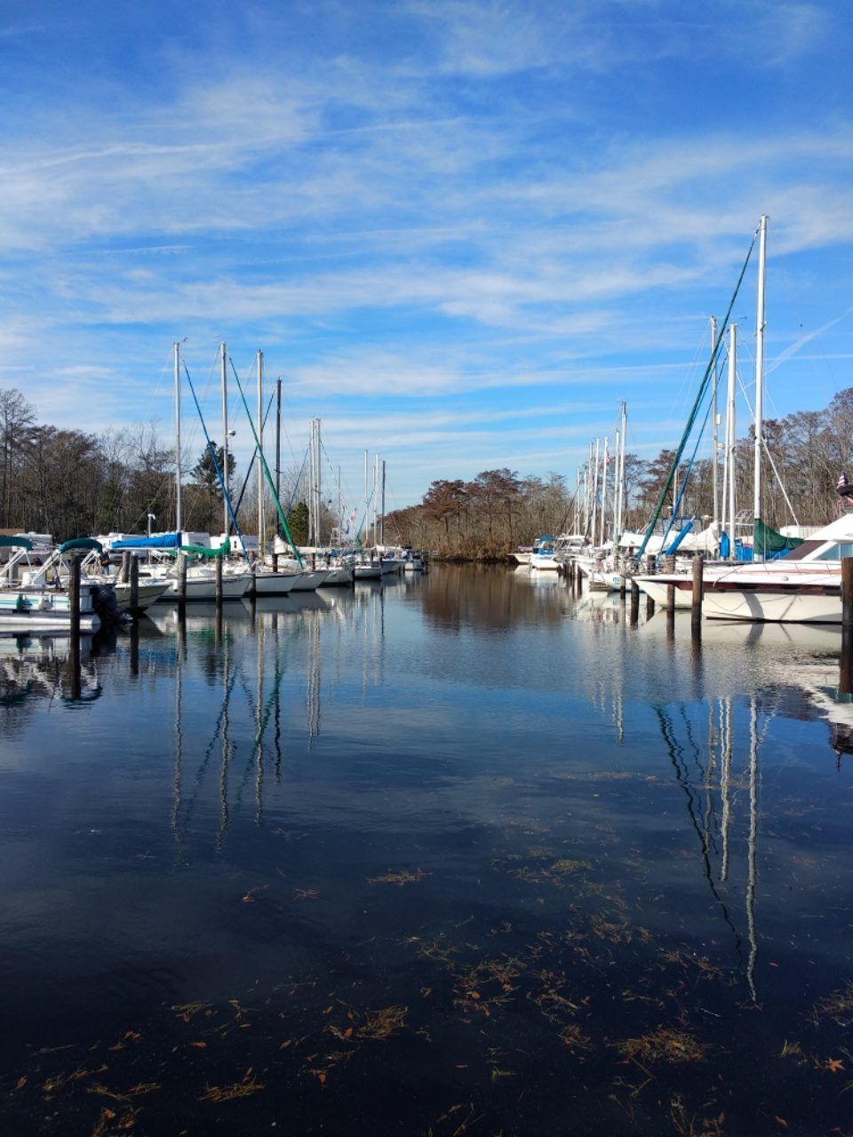 Morehead City bis Elizabeth City auf dem ICW