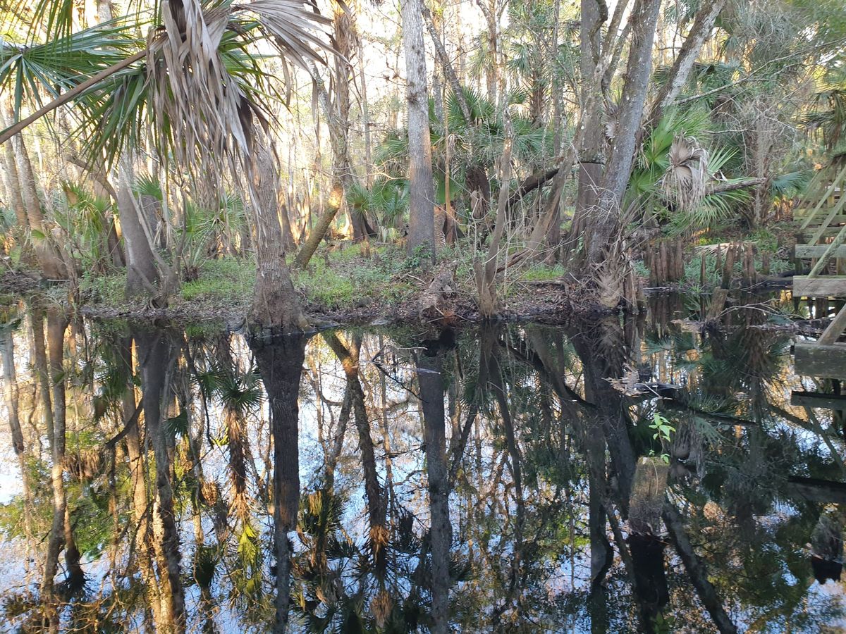 Lake Wales bis Lake Mary