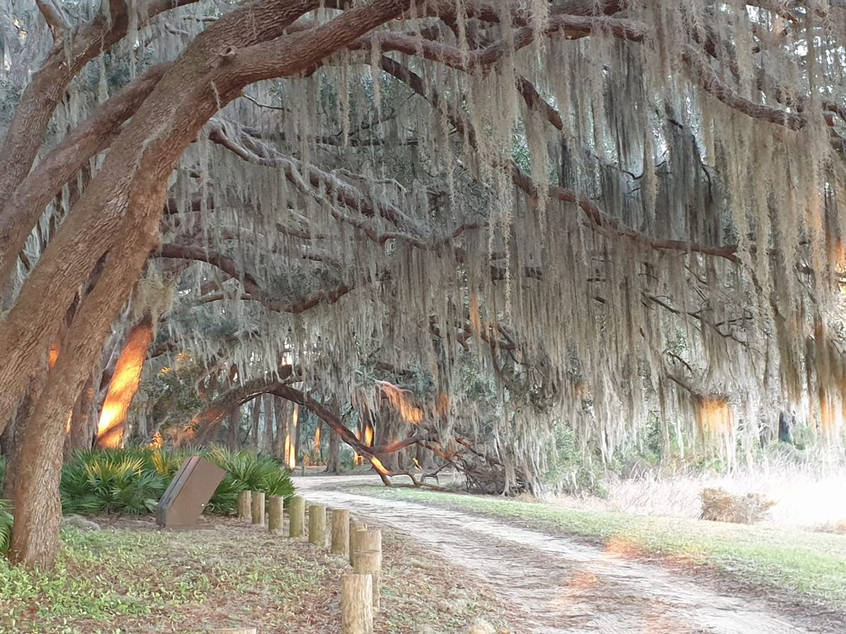 Lake Mary bis Starke