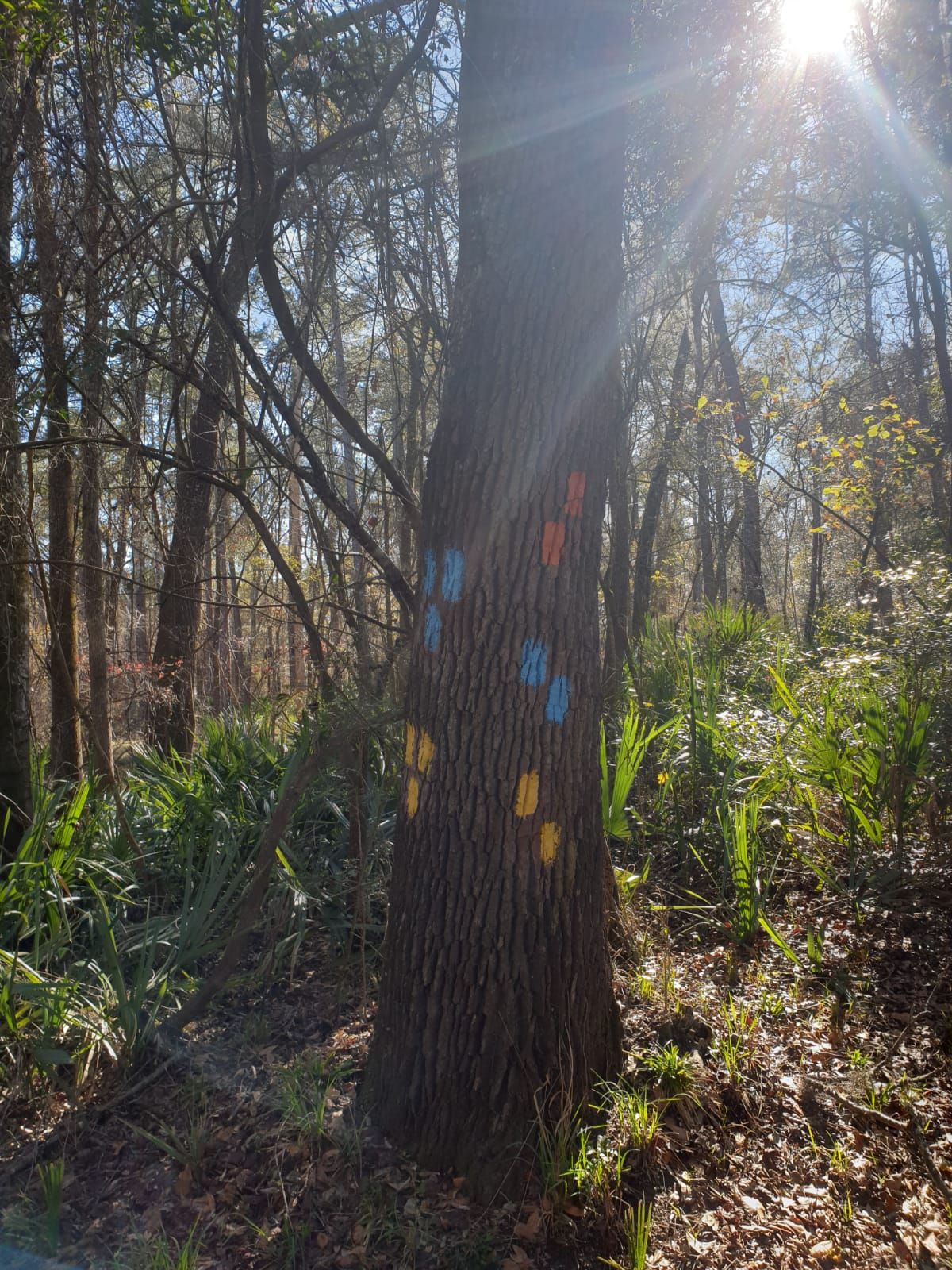 Tallahassee bis DeFuniak Springs