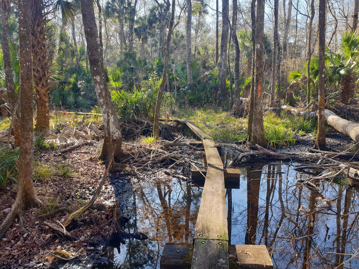 Live Oak bis Tallahassee