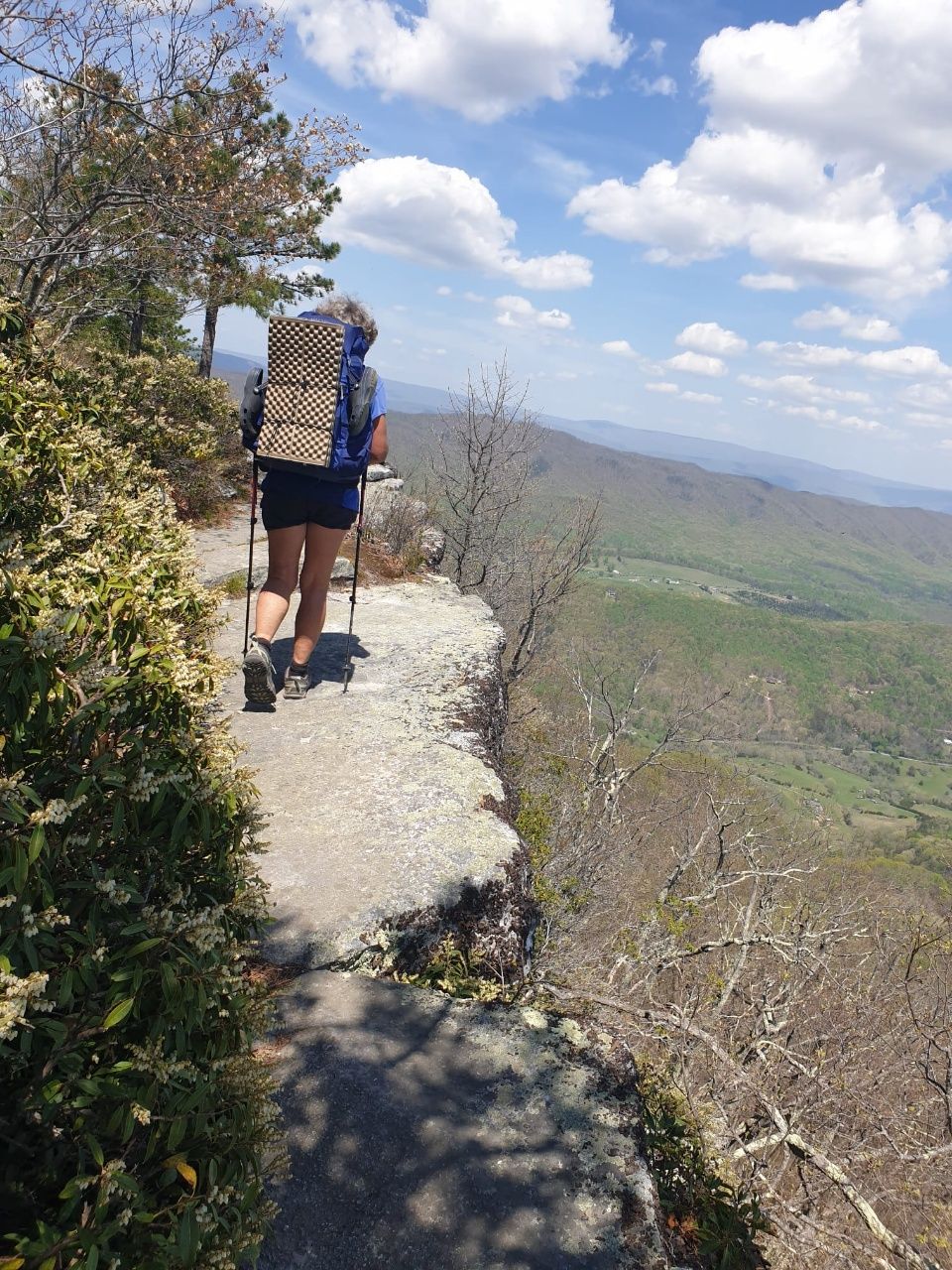 Glasgow bis Pearisburg