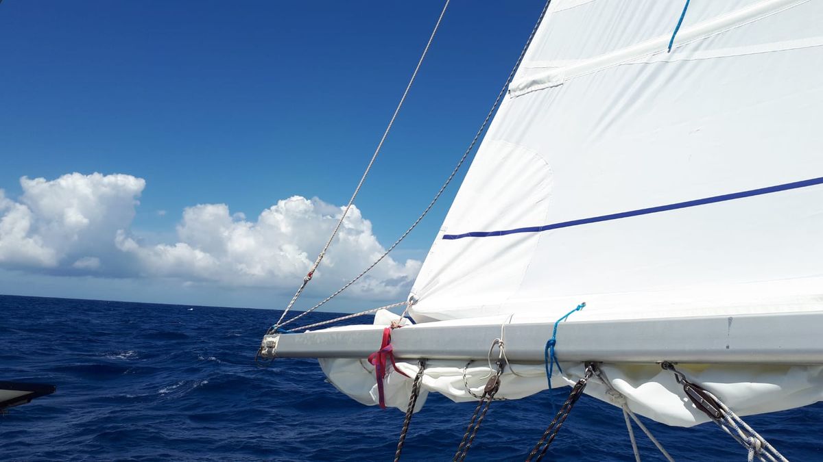 Flaute und flotte Fahrt bis Horta