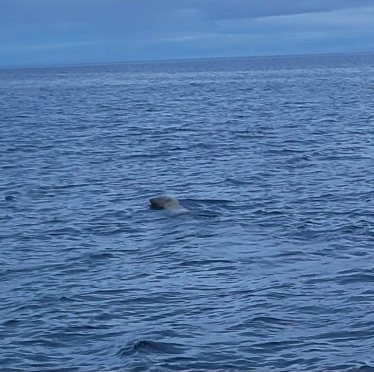 Bellot Strait bis Cambridge Bay