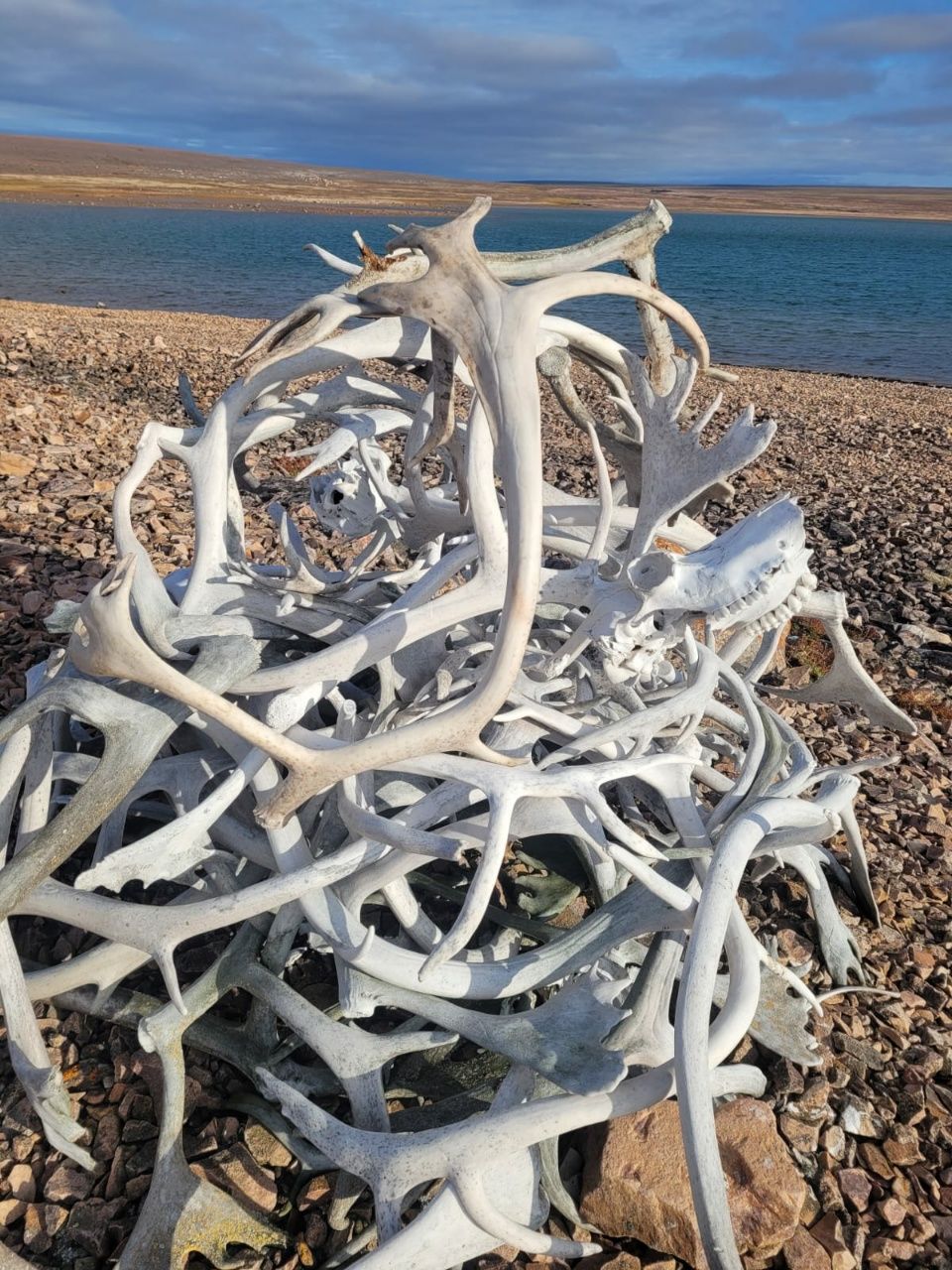 Cambridge Bay und Cape Alexander