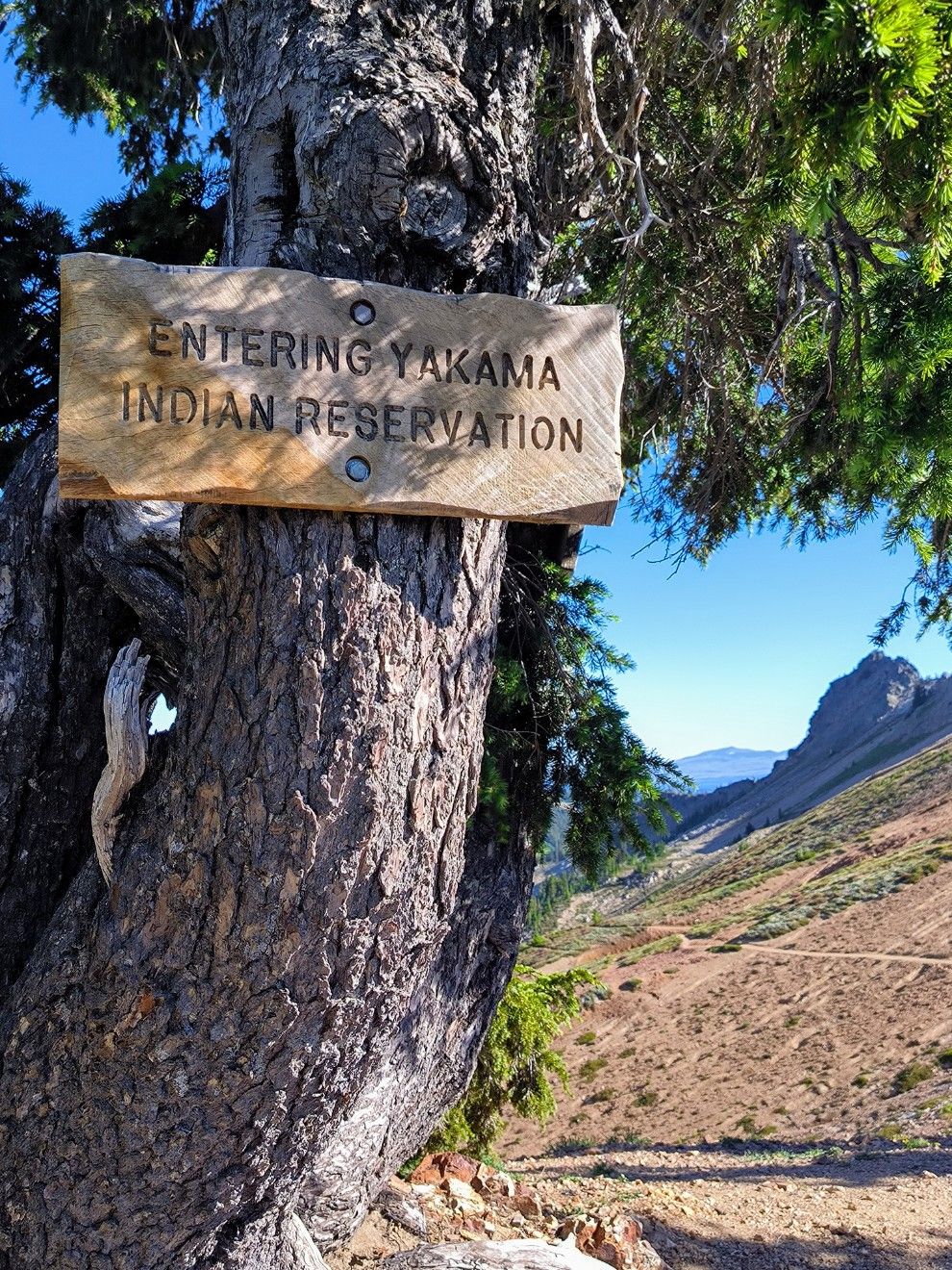 Goat Rocks Wilderness bis Trout Lake