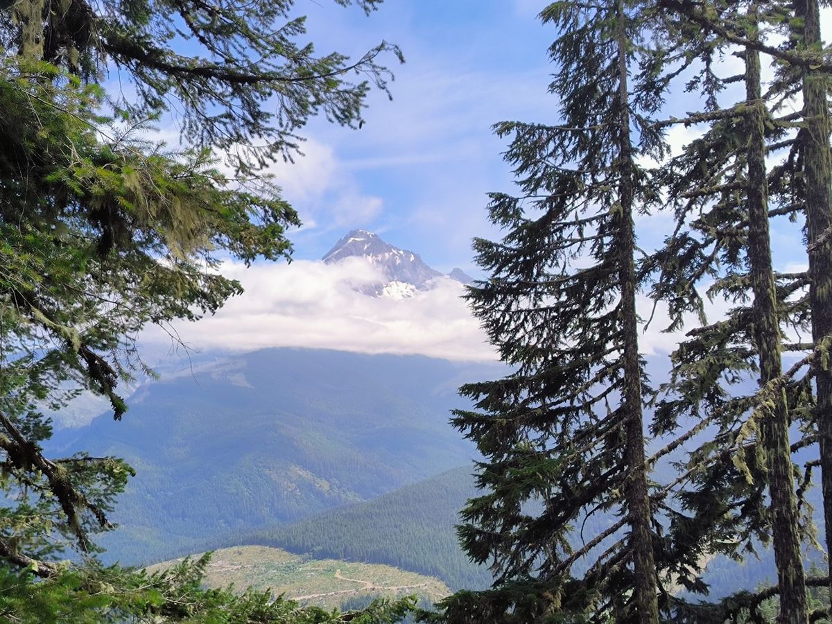 Cascade Locks bis Olallie Lake