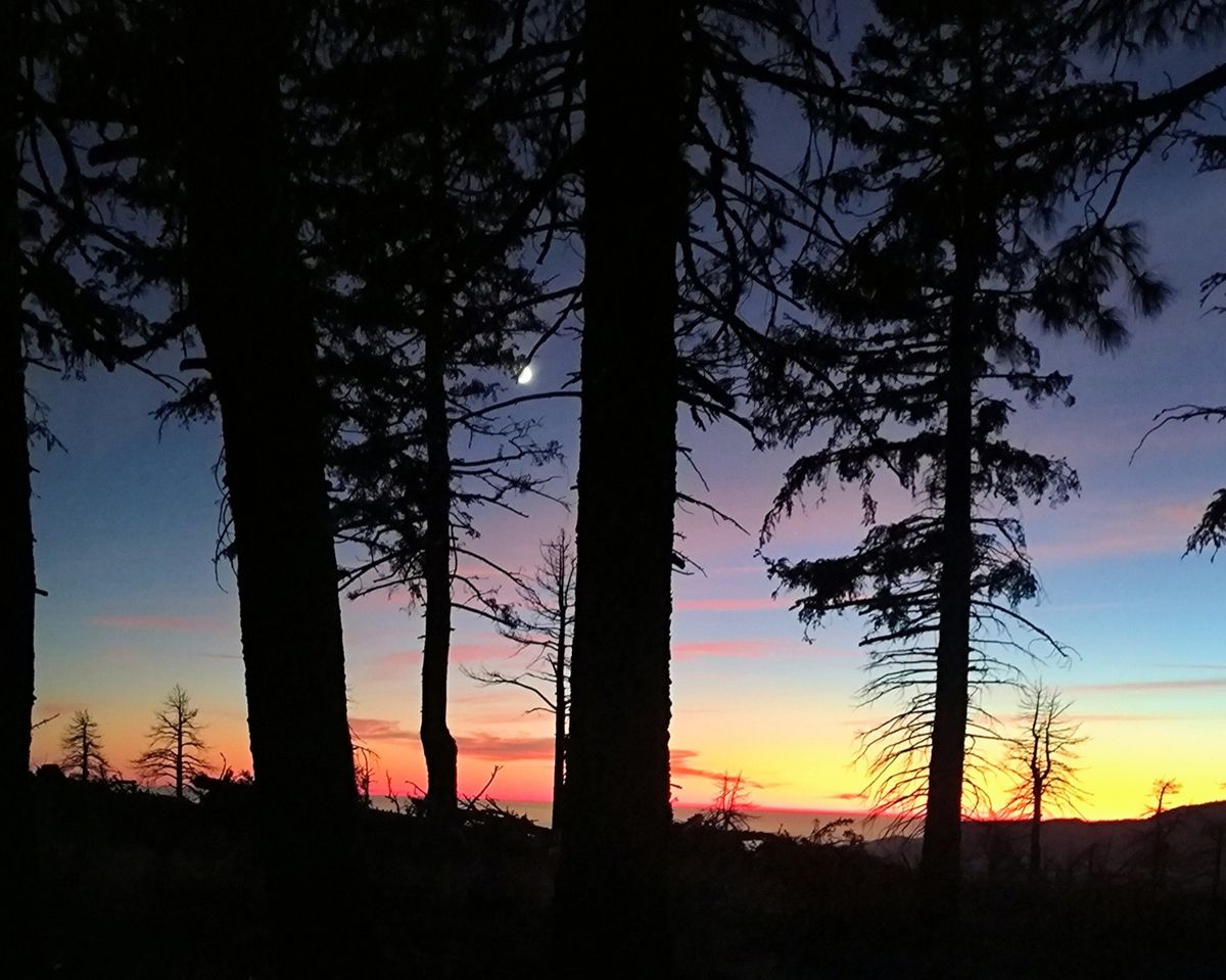 Hikertown bis Wrightwood